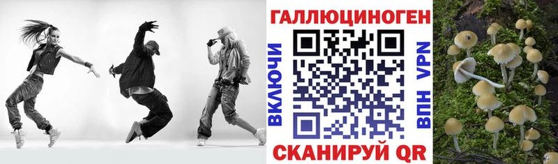 Псилоцибиновые грибы ЛСД Елизаветинская