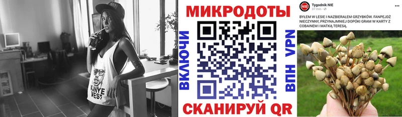 площадка телеграм  Елизаветинская  Псилоцибиновые грибы Psilocybine cubensis 